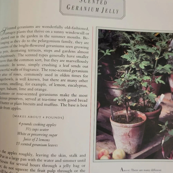 BOOK Of Flowers, Betty Crocker Lifestyle Book, Cooking, Decorating - Picture 5 of 8